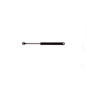 StrongArm Hood Lift Support for 1998 BMW 323is - 6341