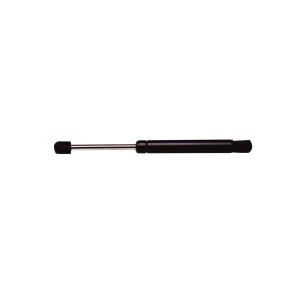 StrongArm Trunk Lid Lift Support for Ford - 4643