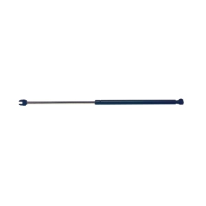 StrongArm Hood Lift Support for Dodge - 6303