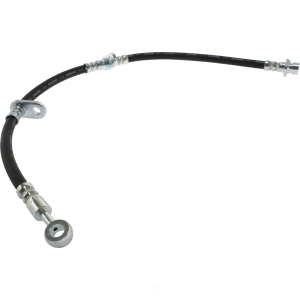 Centric Front Passenger Side Brake Hose for 2000 Acura NSX - 150.40056