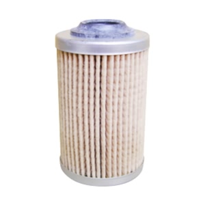 Hastings Engine Oil Filter Element for 2010 Cadillac CTS - LF489