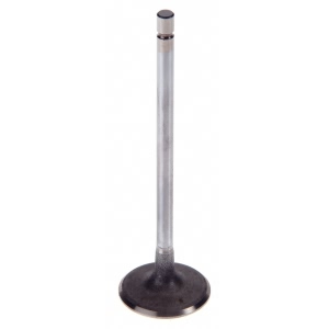 Sealed Power Engine Intake Valve for 2001 Plymouth Neon - V-4487