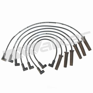 Walker Products Spark Plug Wire Set for 1990 Chevrolet Camaro - 924-1300