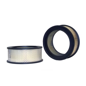 WIX Air Filter for American Motors - 42050