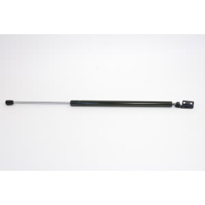 StrongArm Driver Side Liftgate Lift Support for 2002 Mazda MPV - 6113L