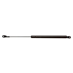 StrongArm Back Door Lift Support for 2004 Suzuki Grand Vitara - 4560