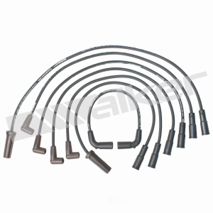 Walker Products Spark Plug Wire Set for Chevrolet K1500 - 924-1362