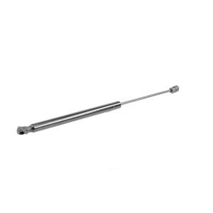 VAICO Liftgate Lift Support - V10-1956