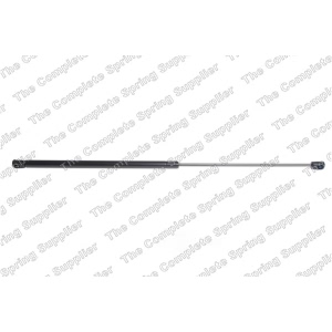 lesjofors Hood Lift Support for Jaguar - 8041404