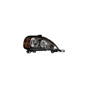 Hella Passenger Side Xenon Headlight for 2005 Mercedes-Benz ML500 - H11151021