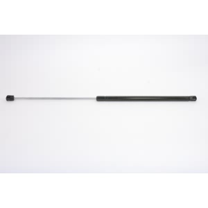 StrongArm Hood Lift Support for Mercedes-Benz E550 - 6323