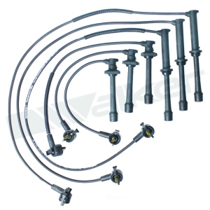 Walker Products Spark Plug Wire Set for 2002 Mazda 626 - 924-1817