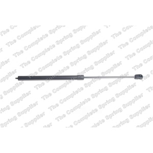 lesjofors Driver Side Hood Lift Support for 2014 Porsche Panamera - 8069710