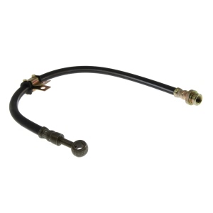 Centric Brake Hose for Honda Prelude - 150.40012