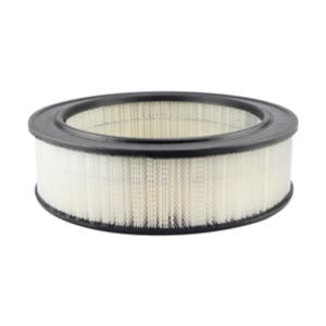 Hastings Air Filter for Mercedes-Benz 300SD - AF822