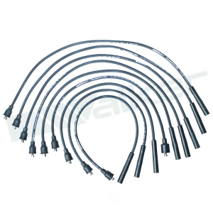 Walker Products Spark Plug Wire Set for Dodge D150 - 924-1519