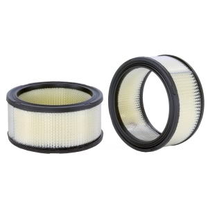 WIX Air Filter for American Motors - 42110