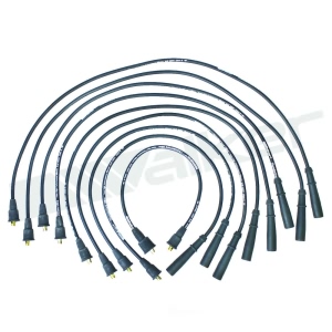 Walker Products Spark Plug Wire Set for 1984 Jeep Grand Wagoneer - 924-1417