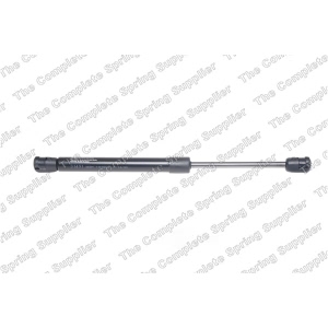 lesjofors Hood Lift Support for BMW M6 Gran Coupe - 8008423