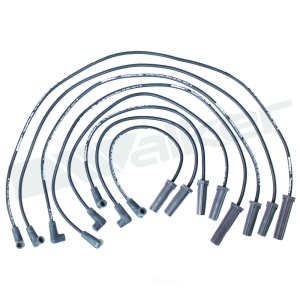 Walker Products Spark Plug Wire Set for 1989 Cadillac Seville - 924-1409