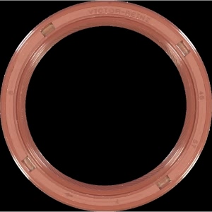 Victor Reinz Front Camshaft Seal for 2000 Volvo S70 - 81-33634-00