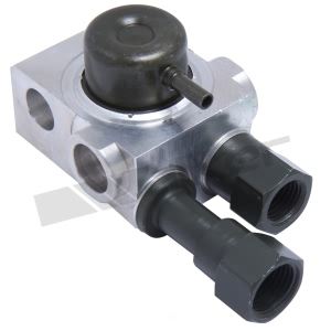 Walker Products Fuel Injection Pressure Regulator for 1989 Buick Century - 255-1009