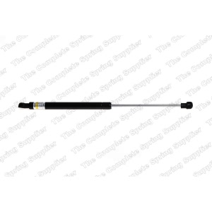 lesjofors Hood Lift Support for BMW 335is - 8008413