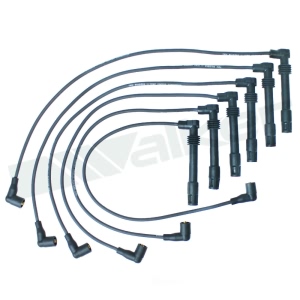Walker Products Spark Plug Wire Set for Audi A6 - 924-1625