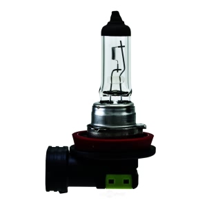 Hella H11 Standard Series Halogen Light Bulb for 2014 Kia Forte Koup - H11