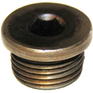 Bosal Oxygen Sensor Exhaust Manifold Plug - 700-118