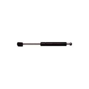 StrongArm Liftgate Lift Support for Pontiac Vibe - 4079