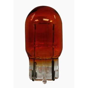 Hella Standard Series Incandescent Miniature Light Bulb for Isuzu Oasis - 7440A