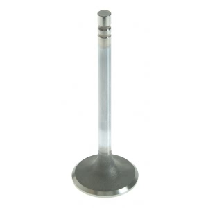 Sealed Power Engine Intake Valve for 1984 Chevrolet P20 - V-2287