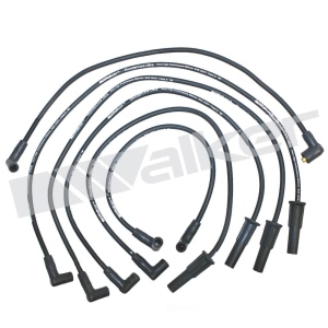 Walker Products Spark Plug Wire Set for 1987 Ford Mustang - 924-1189