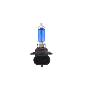Hella H10 Design Series Halogen Light Bulb for GMC Sierra 1500 - H71071012