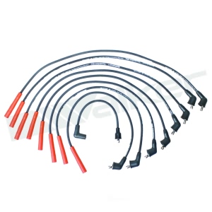 Walker Products Spark Plug Wire Set for Jeep Wagoneer - 924-1600