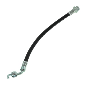 Centric Rear Brake Hose for 2016 Nissan Quest - 150.42417