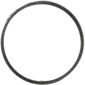 Victor Reinz Graphite Composite Silver Exhaust Pipe Flange Gasket for 2002 Mazda Tribute - 71-15198-00