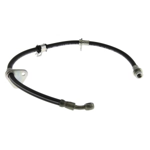 Centric Front Driver Side Brake Hose for 1989 Honda Prelude - 150.40021