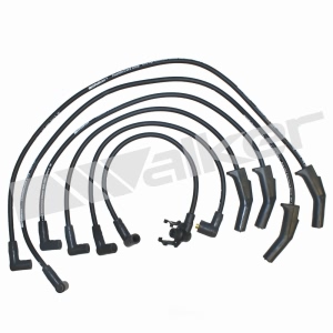 Walker Products Spark Plug Wire Set for 1987 Ford EXP - 924-1144