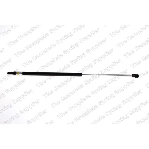 lesjofors Trunk Lid Lift Support for 2003 BMW 325xi - 8108412