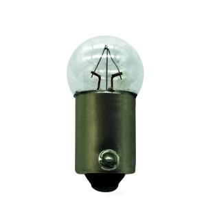 Hella Standard Series Incandescent Miniature Light Bulb for 1984 Plymouth Horizon - 1445