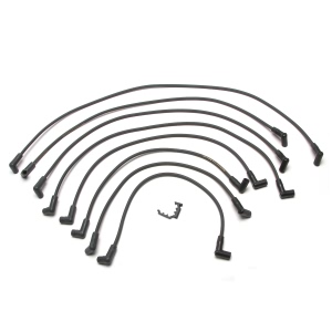 Delphi Spark Plug Wire Set for Oldsmobile Omega - XS10260