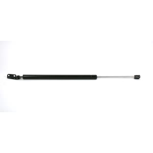 StrongArm Driver Side Liftgate Lift Support - 6206L