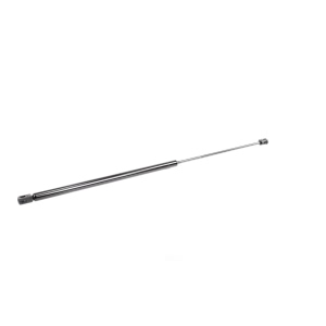 VAICO Hood Lift Support for 2004 Audi A4 - V10-2073