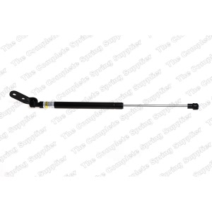 lesjofors Driver Side Liftgate Lift Support for 2000 Kia Sportage - 8144218