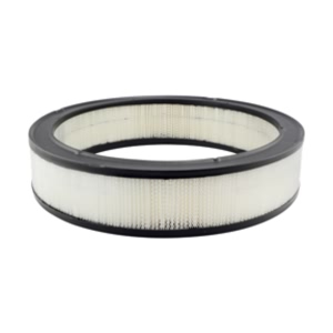 Hastings Air Filter for Chevrolet Monte Carlo - AF110
