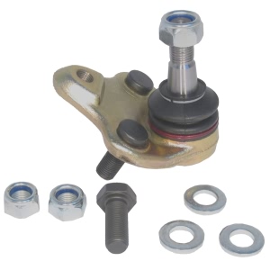 Delphi Front Lower Bolt On Ball Joint for 1999 Chevrolet Prizm - TC1413