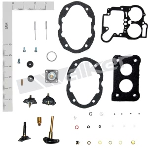 Walker Products Carburetor Repair Kit for Ford - 15747B