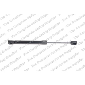 lesjofors Hood Lift Support for 2014 Porsche 911 - 8069708